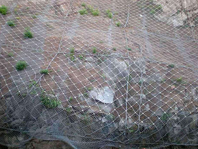 TECCO�ߏ�(qi��ng)��䓽z���